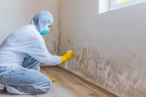 Licensed Mold Testing service in Glassboro, NJ - WQB Mold Removal