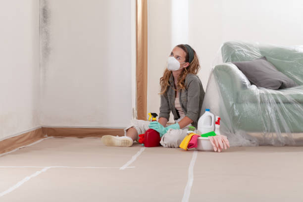 Reliable Mold Testing contractor in Glassboro, NJ by WQB Mold Removal
